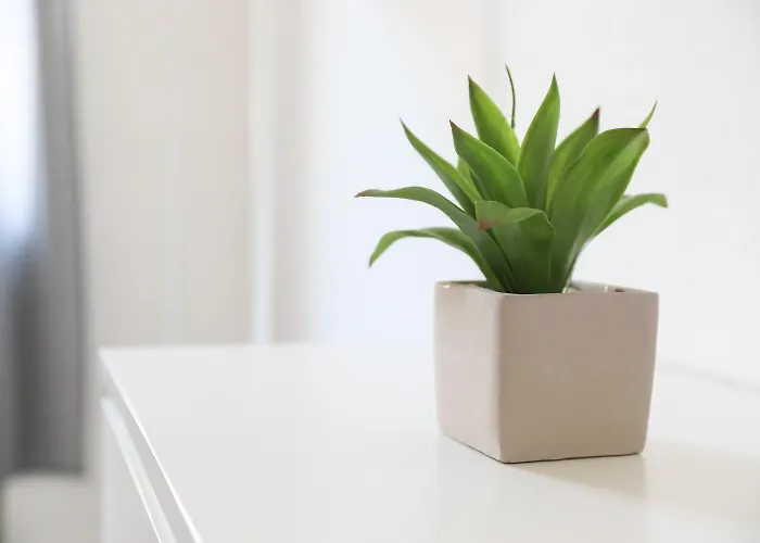 Apartmán City Apartment Hagen *